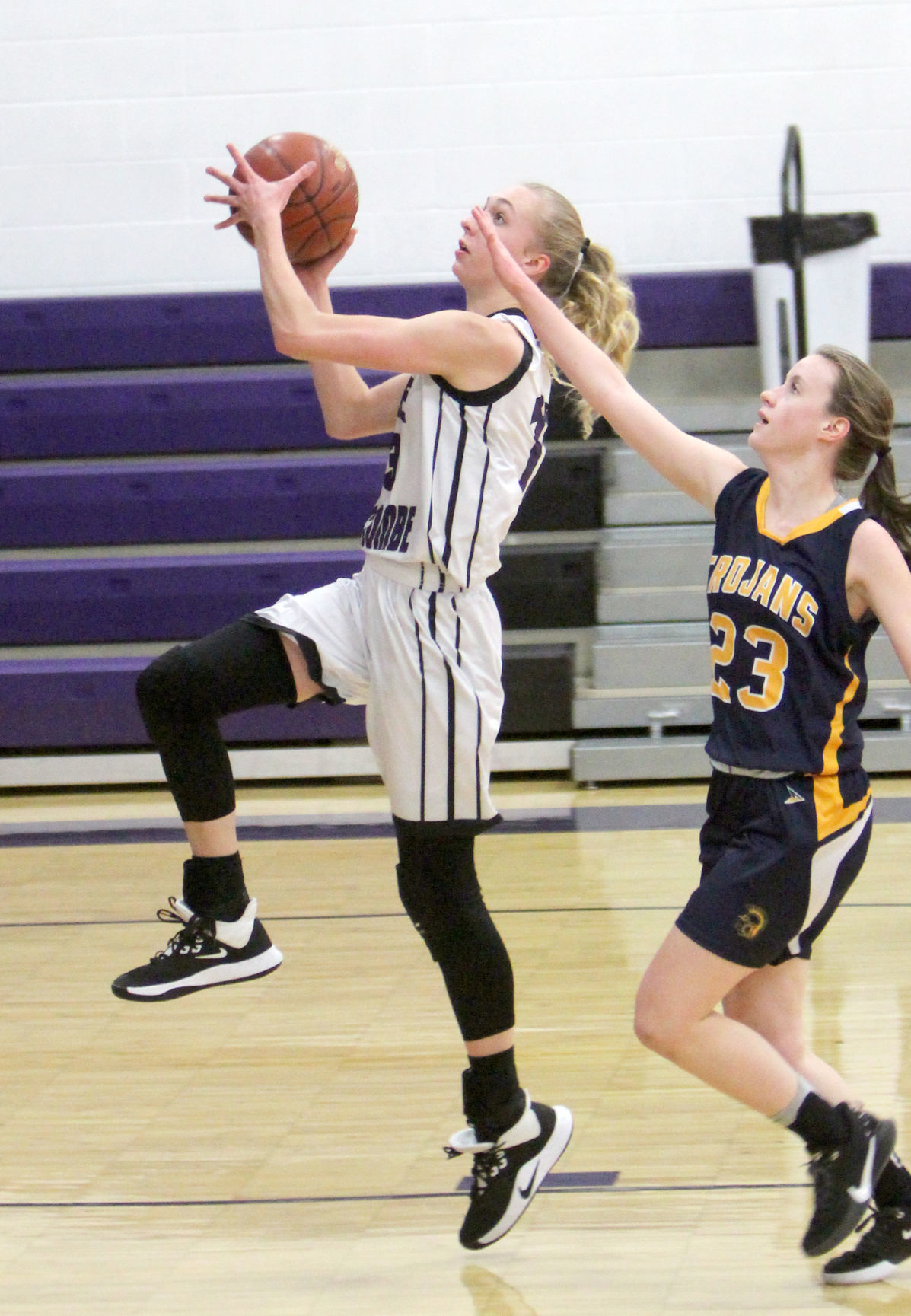New Auburn at Lake Holcombe girls basketball 12-13-19